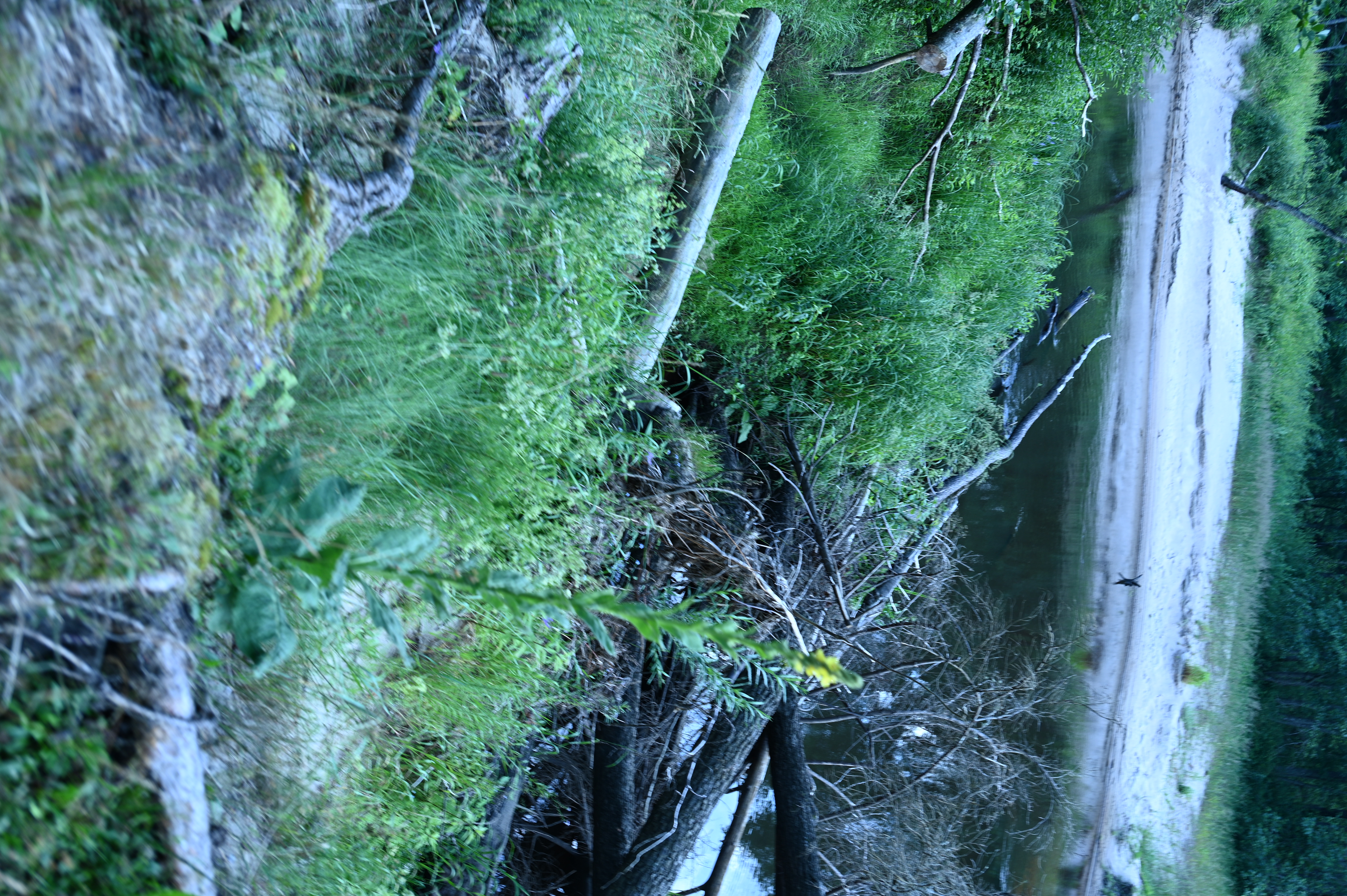 2025/07/09-14 - trip/DSC_0266.JPG